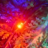 LED la guirnalda, 100 bombillas multicolores, 13 m