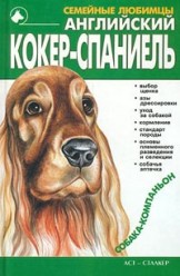 Шелегова Наталья. Английский кокер-спаниель