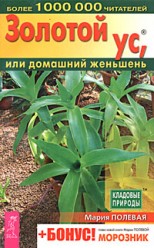 Полевая Мария. Золотой ус, или домашний женьшень