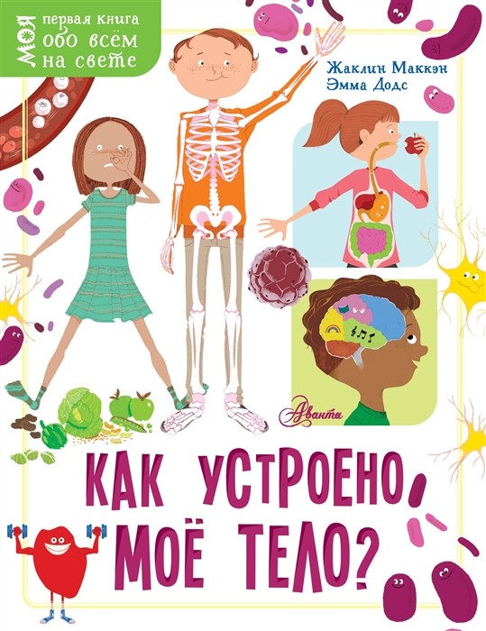 Как устроено мое тело?
