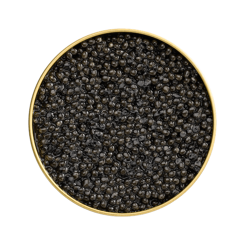 Caviar beluga "Lemberg", 30 g