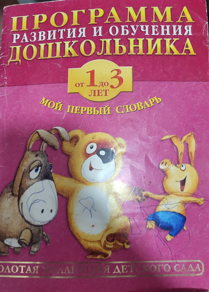 Жукова О. Программа развития и обучения дошкольника